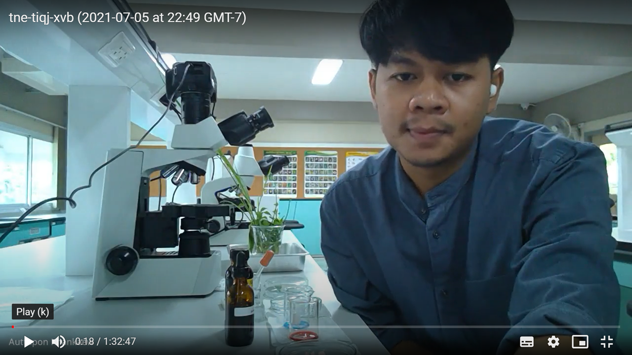 การศึกษากายวิภาคศาสตร์ของพืชใบเลี้ยงเดี่ยวและใบเลี้ยงคู่